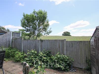 Picture 22